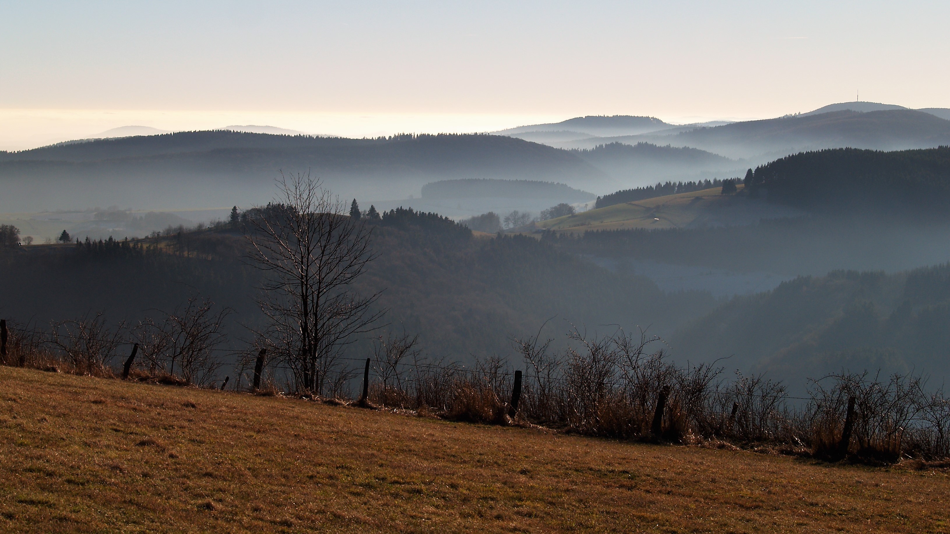 HEIMAT 5